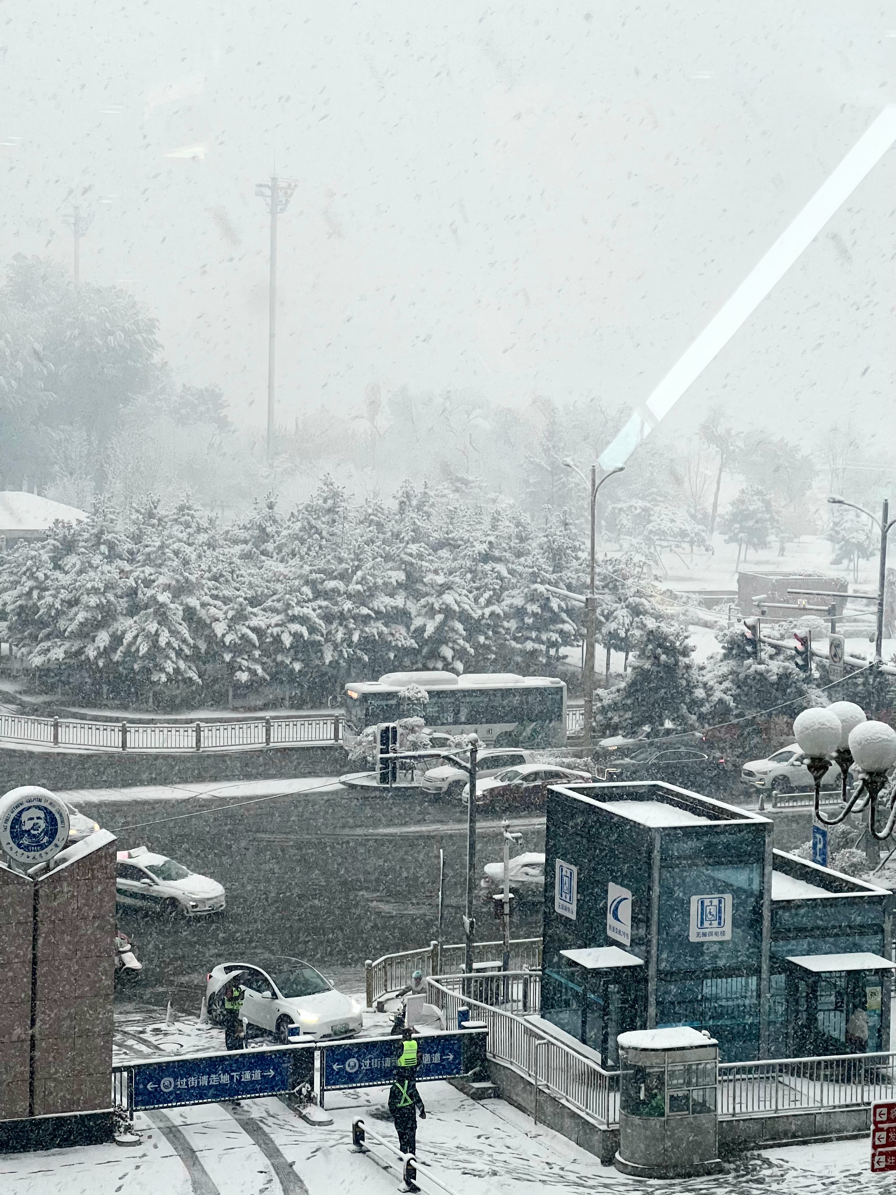 綠色經(jīng)典精盛青稞酒 第117頁