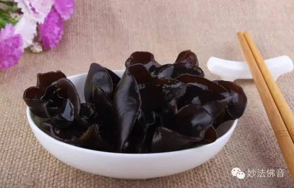 木耳奧秘與潛力探索的最新研究成果揭秘