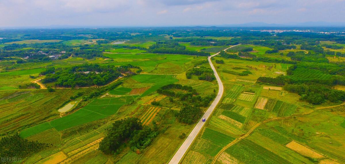 龍灣最新疾病深度探究與觀點闡述