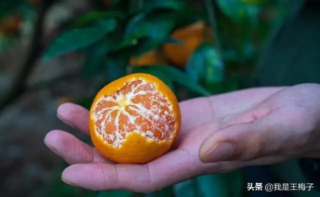 最新南豐新聞速遞