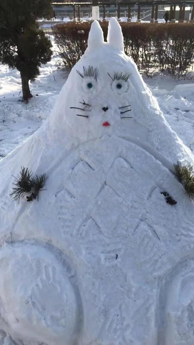 半島雪人最新革新之作,高科技產(chǎn)品重塑未來生活體驗