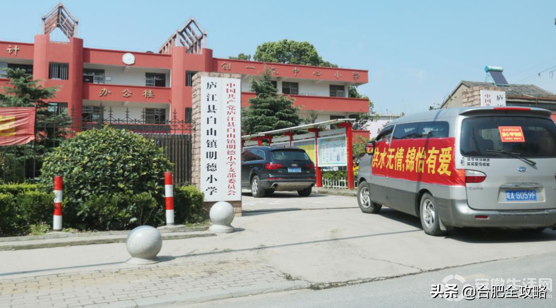 廬江最新災情深度解析