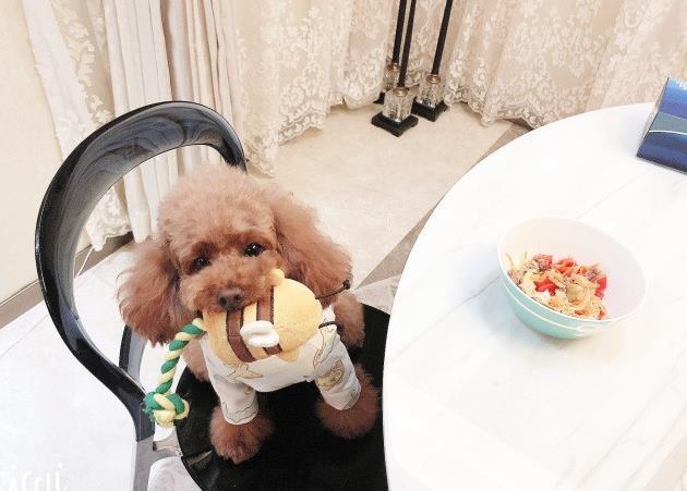 社會(huì)喵最新觀察,當(dāng)代社交文化的獨(dú)特視角