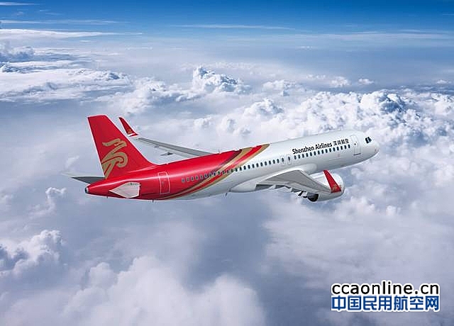 小巷深處的獨特風情,最新深情飛