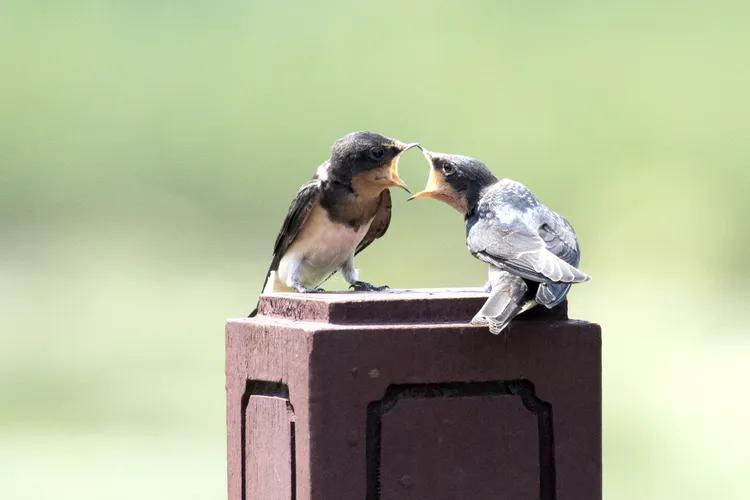 最新捕魚群,娛樂方式還是道德倫理的挑戰(zhàn)?