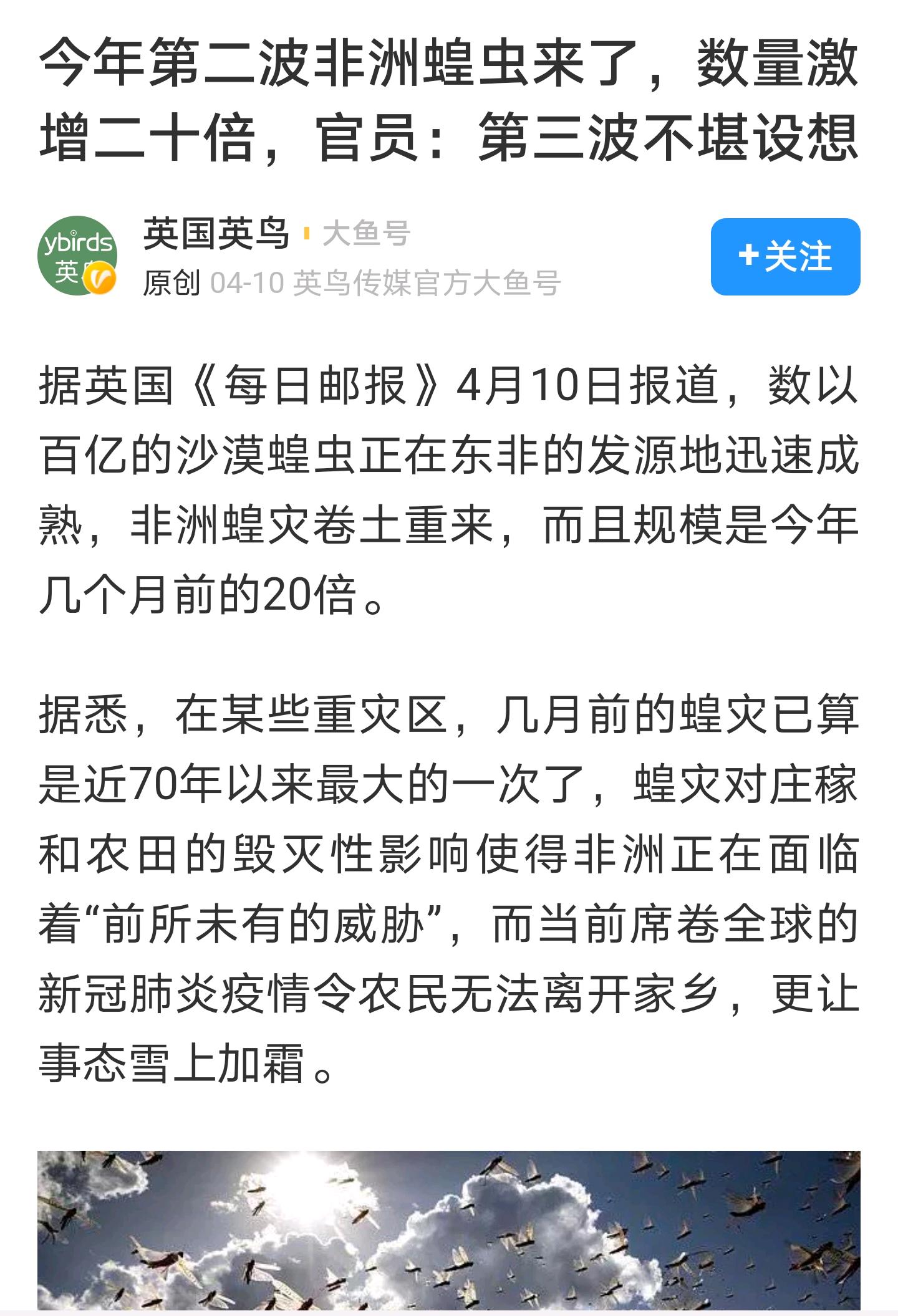 最新蝗災信息及應對防治全面指南