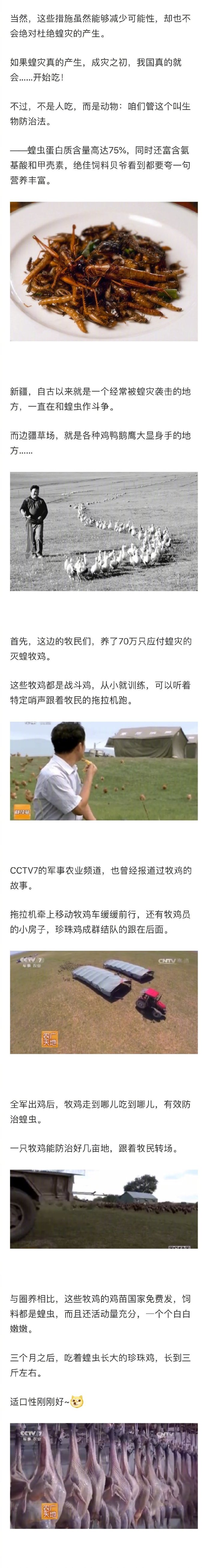 最新蝗災信息及應對防治全面指南