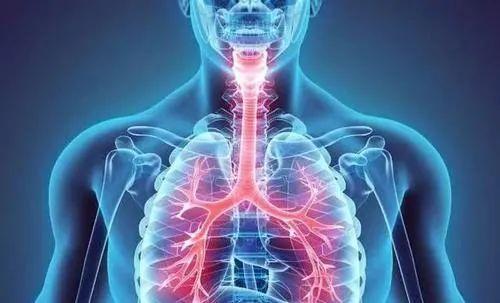 最新病毒動(dòng)態(tài)及防護(hù)指南,應(yīng)對(duì)步驟與實(shí)時(shí)更新