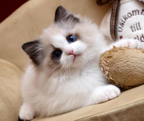 最新病毒動(dòng)態(tài)及防護(hù)指南,應(yīng)對(duì)步驟與實(shí)時(shí)更新