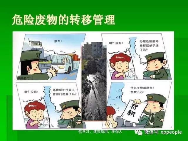 最新環保小結，與自然美景的邂逅，探尋內心平和的旅程