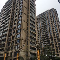 最新小區命名趨勢,名字背后的爭議與探索