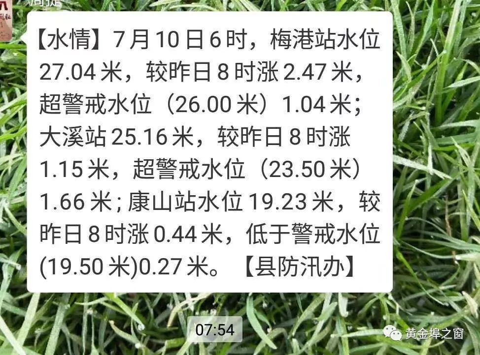暴雨洪澇災害應對指南，如何應對漲大水危機？