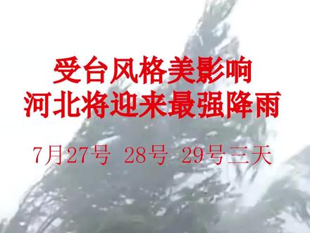 河北臺風最新消息,臺風下的溫馨日常