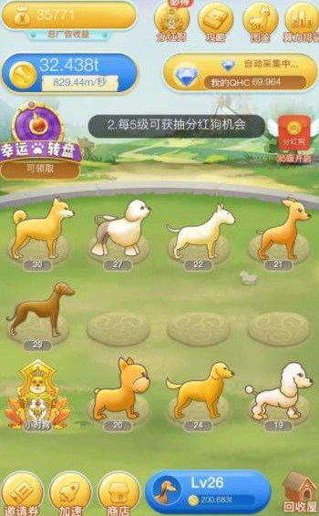 分紅犬最新動態與學習變化,自信塑造未來