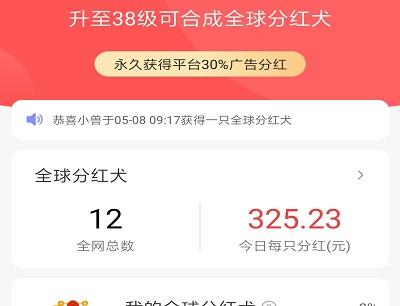 分紅犬最新動態與學習變化,自信塑造未來