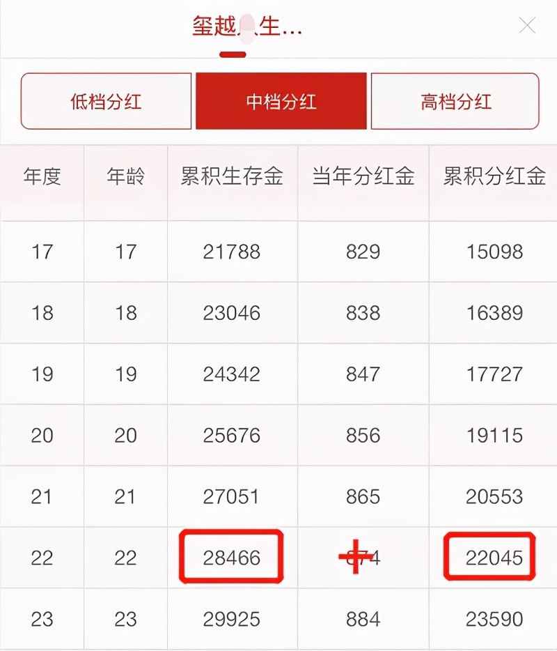 分紅犬最新動態與學習變化,自信塑造未來