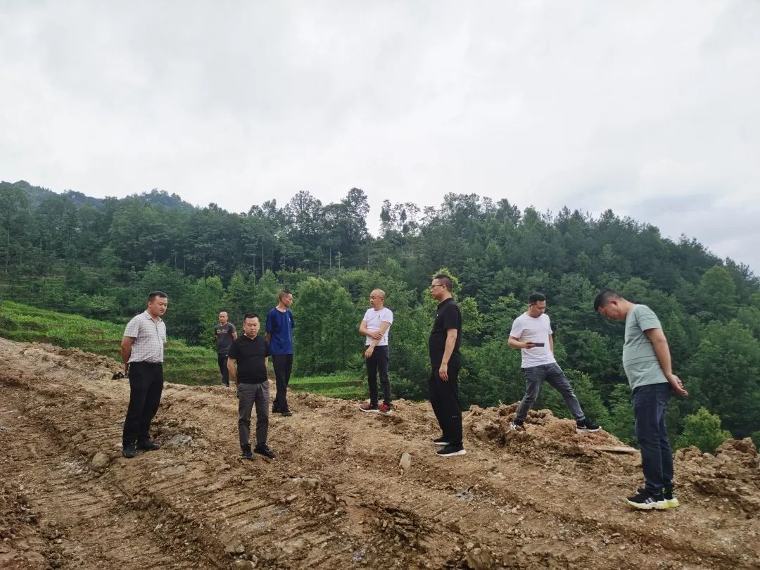 寨中村最新探索,自然美景的迷人之旅