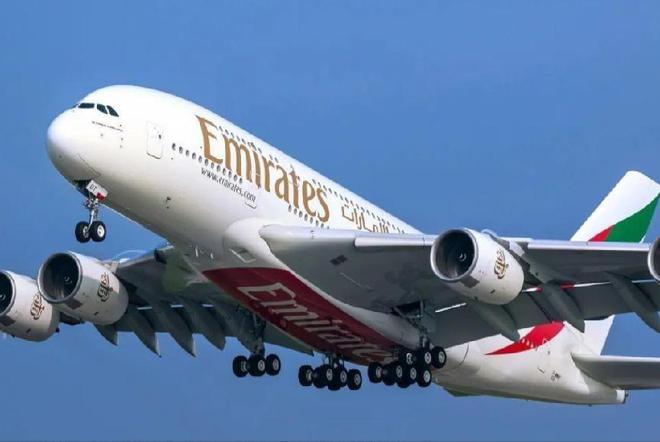 全球航空停飛最新動態,挑戰、應對策略與影響分析