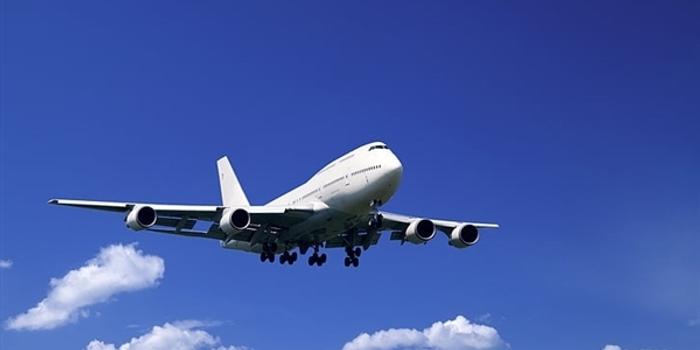 全球航空停飛最新動態,挑戰、應對策略與影響分析