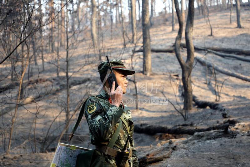 西昌大火最新進(jìn)展及多方觀點(diǎn)分析與個(gè)人立場(chǎng)觀察