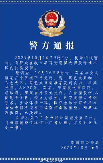 案件通報最新深度解析,背景、進展與影響全揭秘