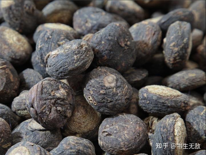 瑪卡最新動態，研究、應用與發展概述