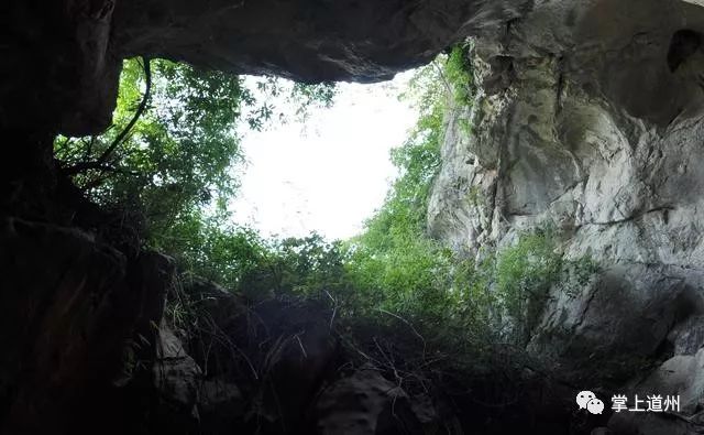 凹凸洞最新，小巷中的神秘特色小店探秘