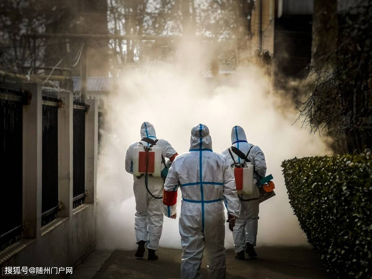 隨州最新疫情動態(tài)及防護指南與應(yīng)對步驟全解析