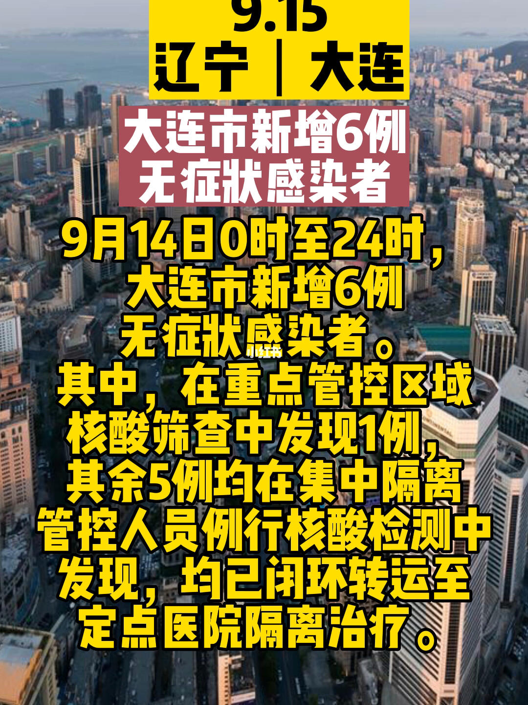 大連防疫最新動態,城市防控措施與案例分析更新發布