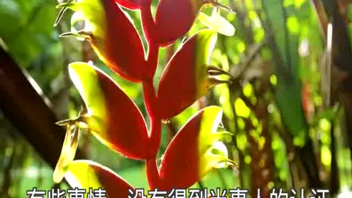 最新芥菜種，小巷深處的味覺盛宴