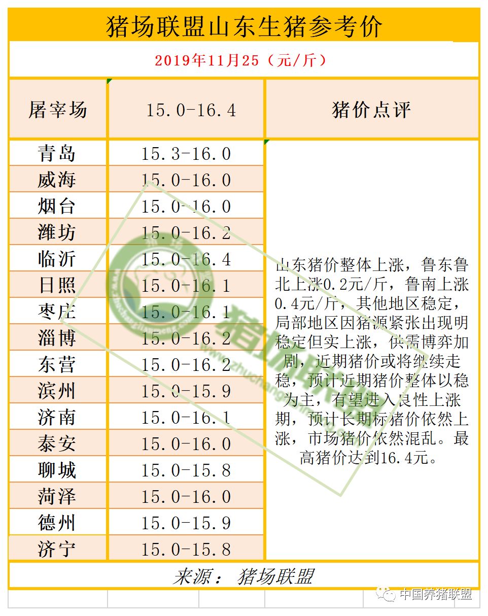 山東豬最新動態，全面關注與了解指南