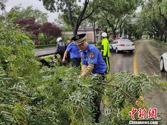 山東最新臺風來襲,科技風暴監(jiān)測神器展現(xiàn)威力