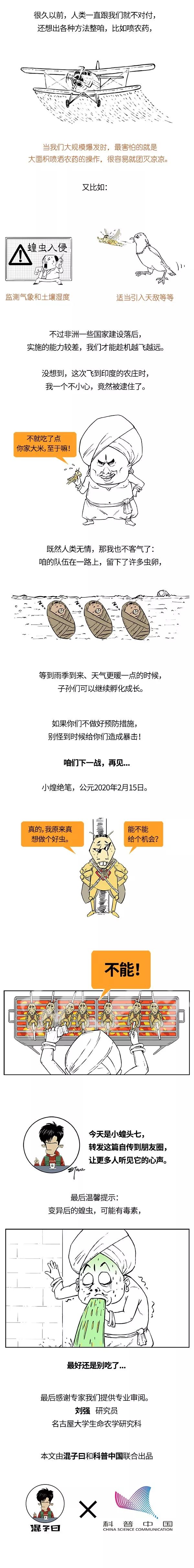 蝗蟲最新報(bào)告，蟲災(zāi)中的希望與溫馨故事