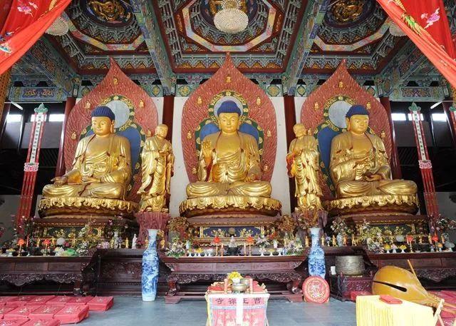 大雄最新圖片探索與賞析