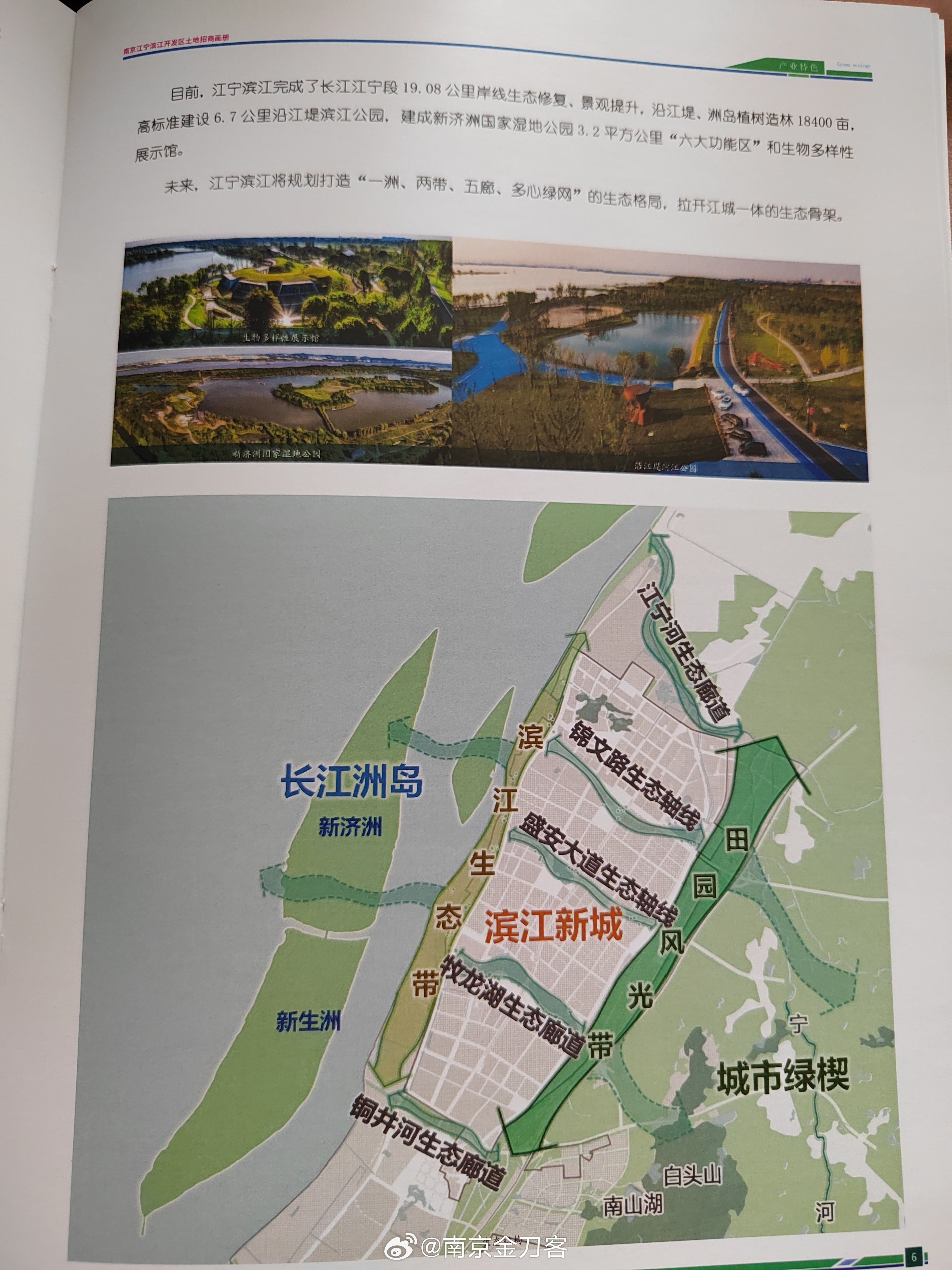 濱江最新發布,小巷深處的驚喜——隱藏的特色小店