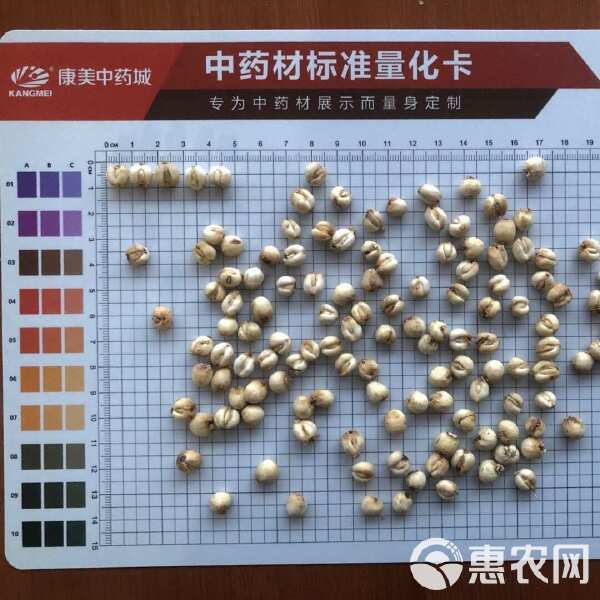 探尋小巷深處的珍稀寶藏，最新川貝單價與獨特環境特色小店