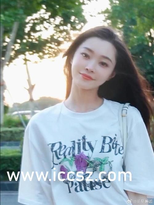 最新H在線現象，多維視角的深度解讀與探討