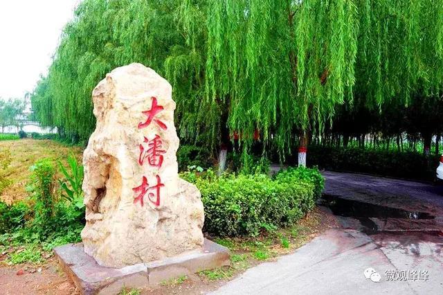 潘村最新探索,自然美景的治愈之旅