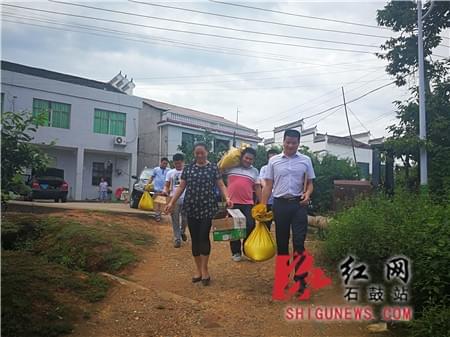 鴨苗最新動態與行業趨勢概述,洞悉發展,掌握未來