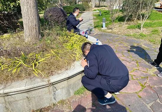 寧海最新犯罪紀實,陰影下的警示與警示的呼喚