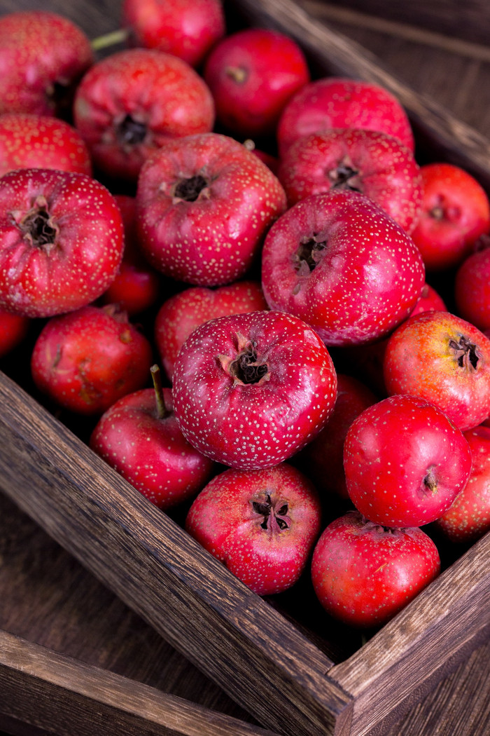 山楂勵志之旅,一顆學習之果的成長故事