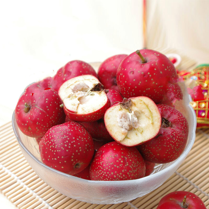 山楂勵志之旅,一顆學習之果的成長故事