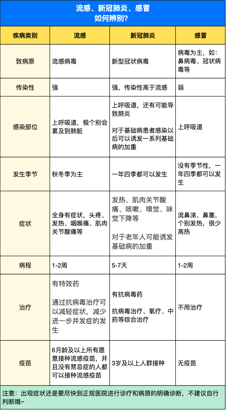 冠狀流感最新動態,小巷深處的獨特流感體驗