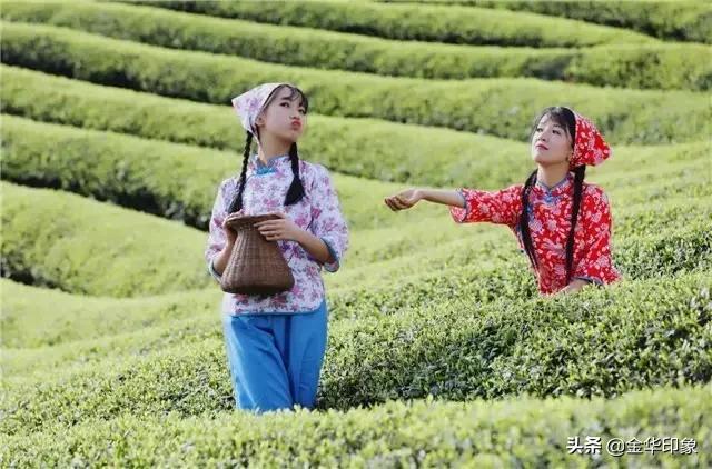 武義最新疫情,時代的印記與抗爭歷程