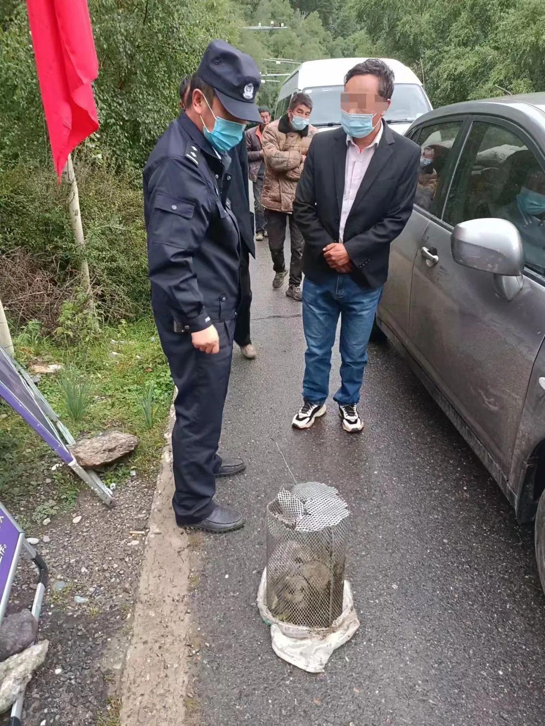 最新旱獺病毒揭秘,小巷深處的神秘寶藏探尋之路