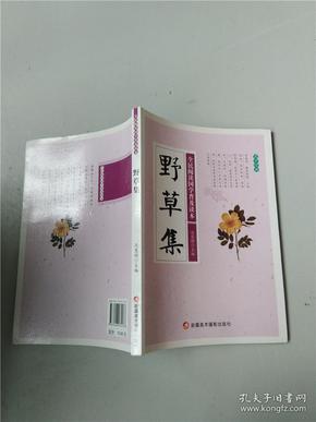 野草集最新篇章,獨特視角探索自然之美