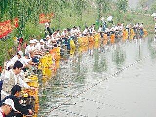 最新耳料盛宴揭秘,前所未有的聽覺盛宴體驗!