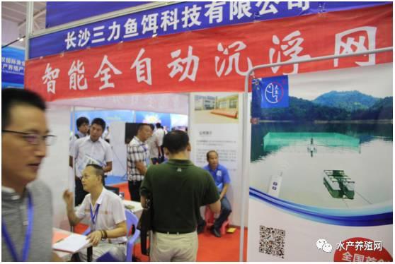 最新耳料盛宴揭秘,前所未有的聽覺盛宴體驗!