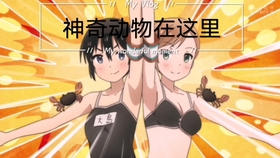 最新紳士番探討,解讀一種文化現象的深度視角