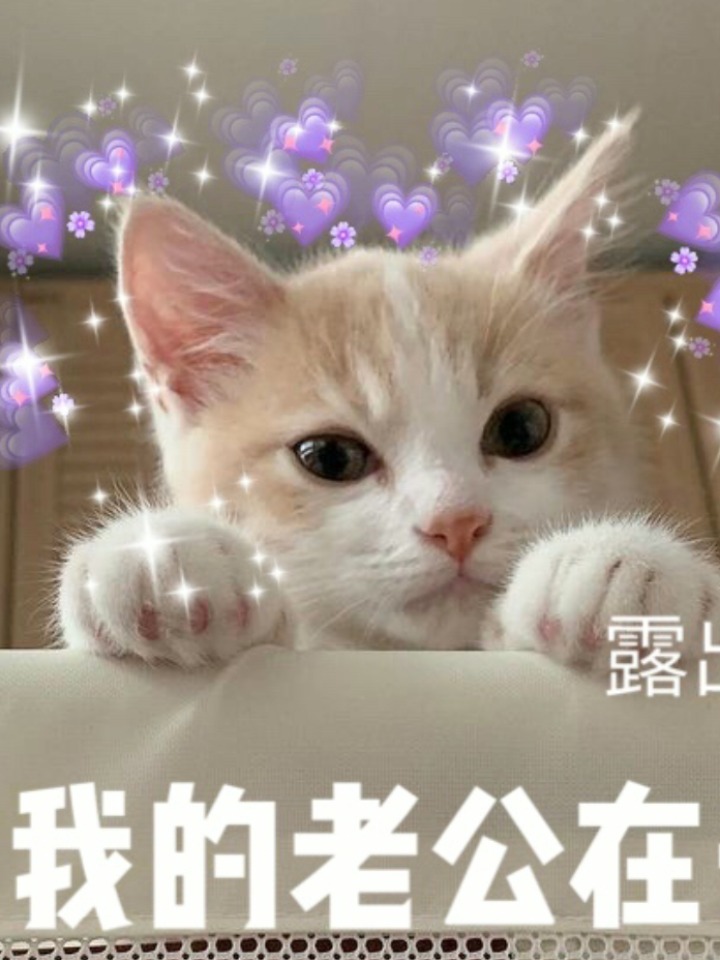 最新撩老公攻略,打造甜蜜關(guān)系的秘訣